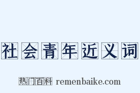社会青年近义词是什么意思的图片